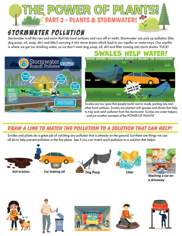 Activity 2: Stormwater & the Power of Plants – SAJB Learning Portal