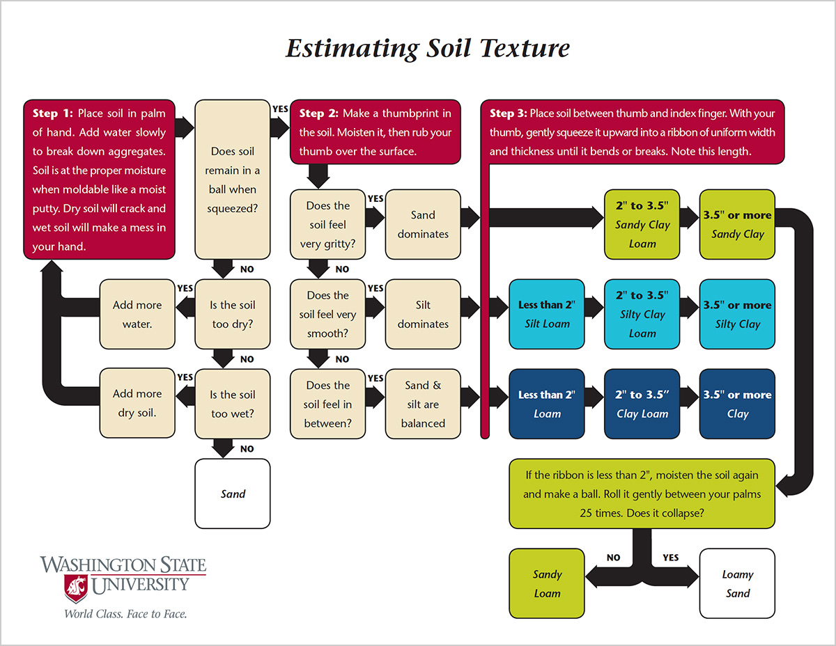 Estimating Soil Texture Guide